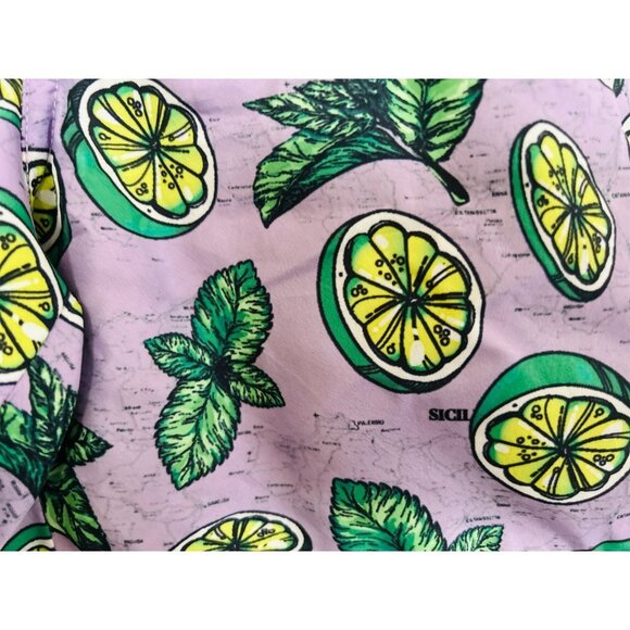 Warren Webber Swim Trunks Lemons Purple Background Drawstring Back Pocket Size 2 - Picture 7 of 8